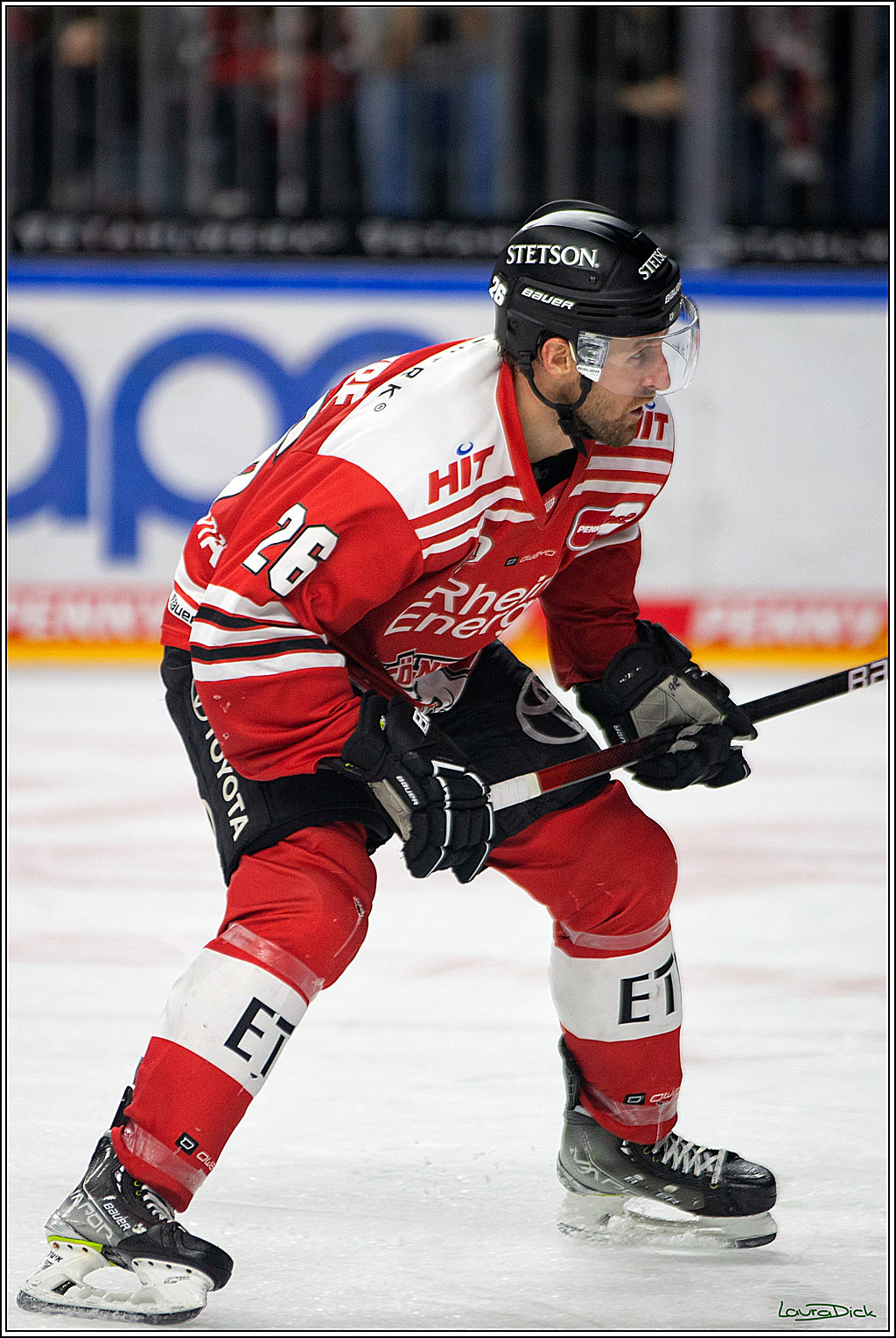 PENNY DEL; Koelner Haie- Adler Mannheim; Koeln, 04.11.2022